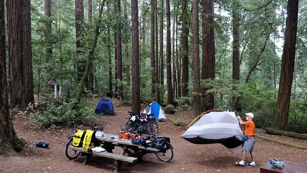 Nice campsite nestled amongst the Redwoods.
